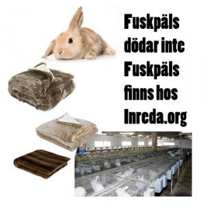 fuskpäls